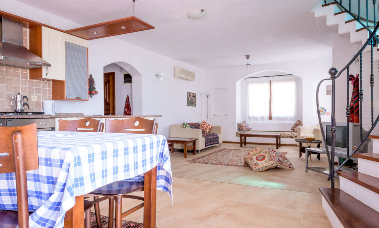 gallery-31 gallery-31